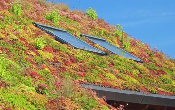 Yealand Conyers living roof systems